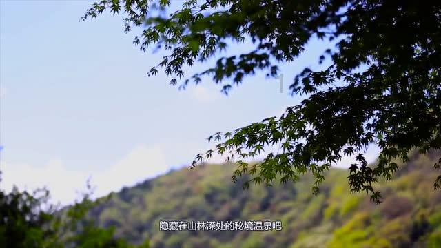 漫话马拉松2|中签率持续走低,马拉松为什么一签难求?