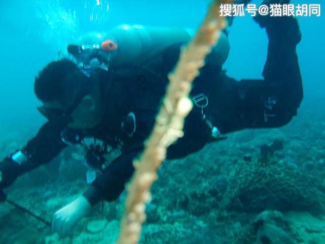 最后一站
