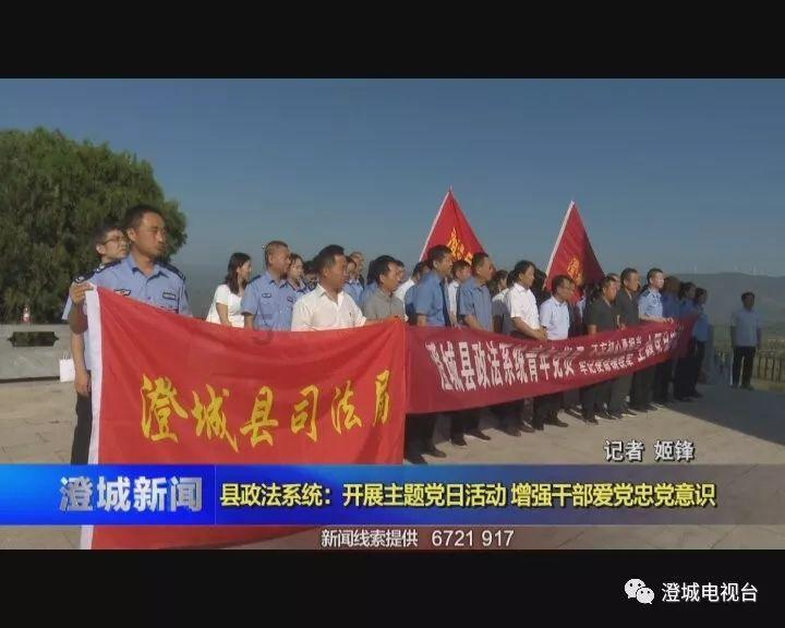猫界的“四大白眼狼”,你家有吗?