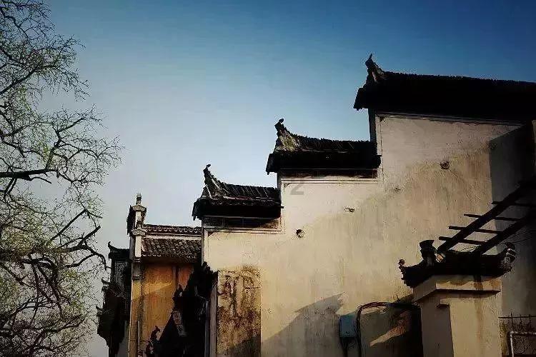 呼伦贝尔市第五届人民代表大会第四次会议关于呼伦贝尔市中级人民法院工作报告的决议