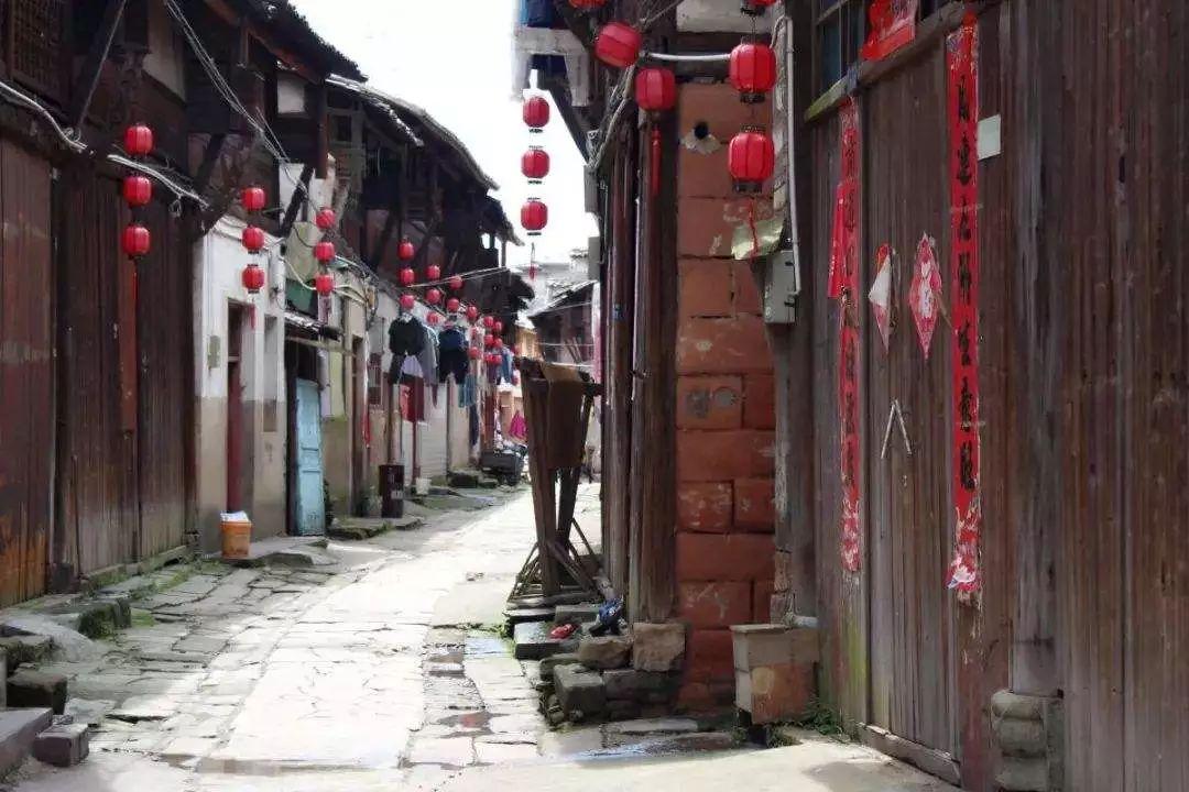 救援受困的老虎